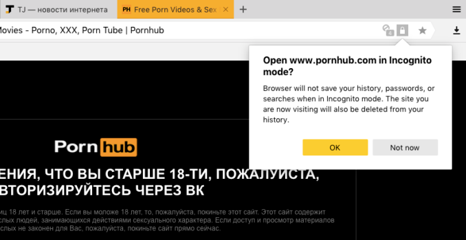«Яндекс.Браузер» предлагает анонимный режим посетителям порносайтов